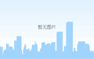 带颈平焊法兰(so)